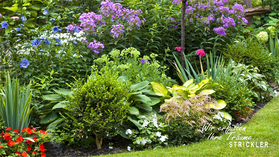 Strickler Blumen & Gärten AG